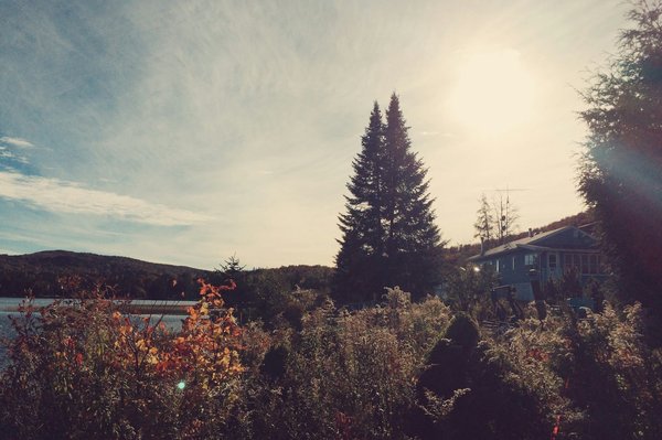 Quels sont les conseils pour un camping en région de forêts de feuillus en automne?